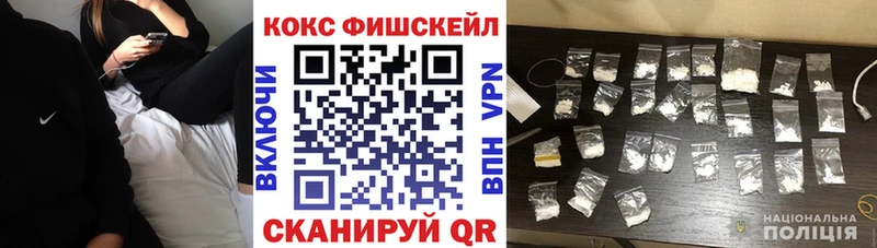 что такое   Каменногорск  COCAIN Fish Scale 