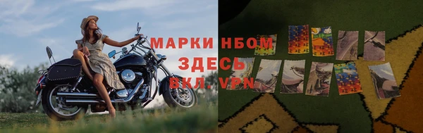 индика Абаза