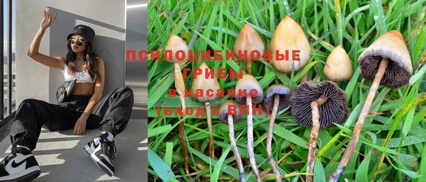 PSILOCYBIN Покровск