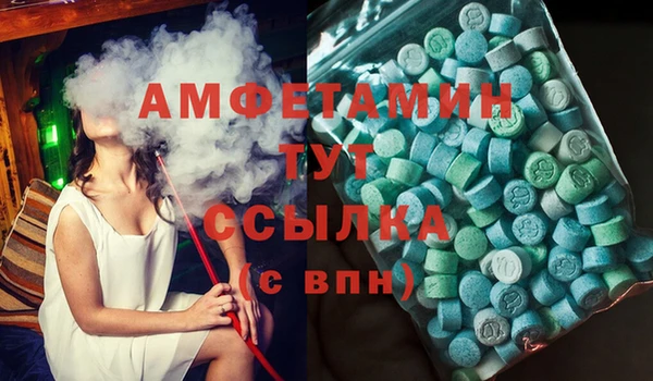индика Абаза
