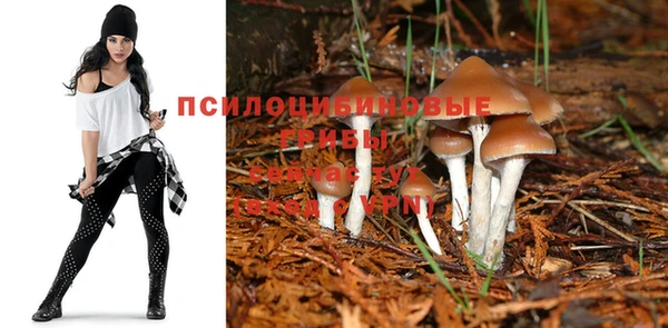 марки nbome Абинск