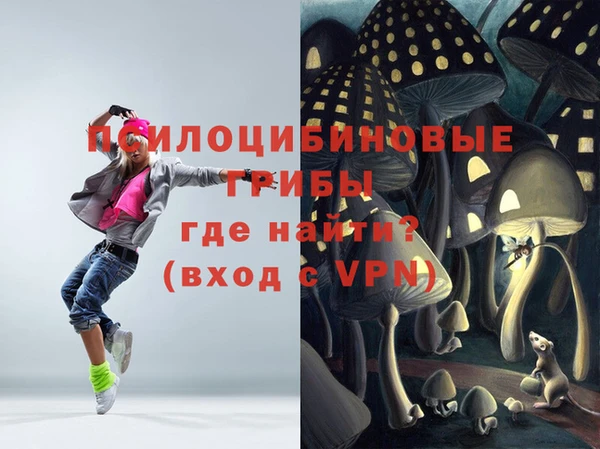 индика Абаза