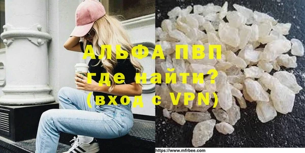 индика Абаза