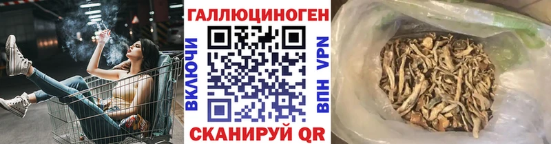 Псилоцибиновые грибы Cubensis  MEGA ТОР  Каменногорск 